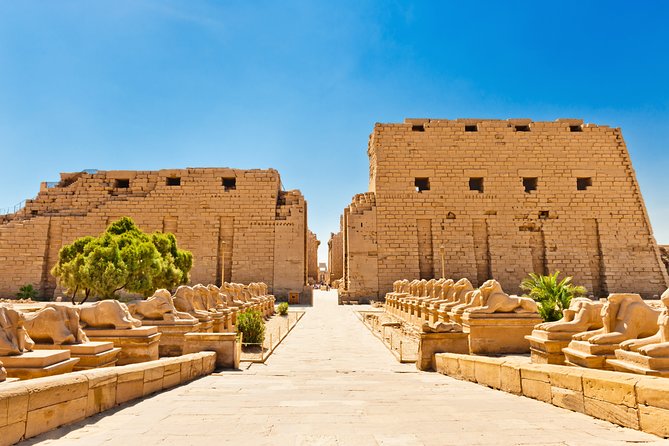 Day 3 | Edfu Temple & Arrive Luxor (visit Luxor Temple)