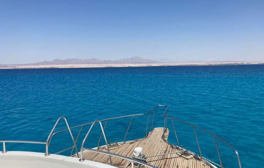From Hurghada : Utopia Island Royal Snorkeling