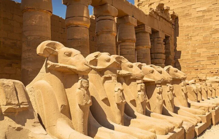 Day Tour To Luxor From Hurghada By Bus