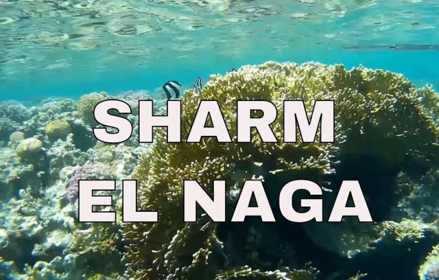 Sharm El Naga National Park water turtle house Full Day Snorkeling Trip-Hurghada