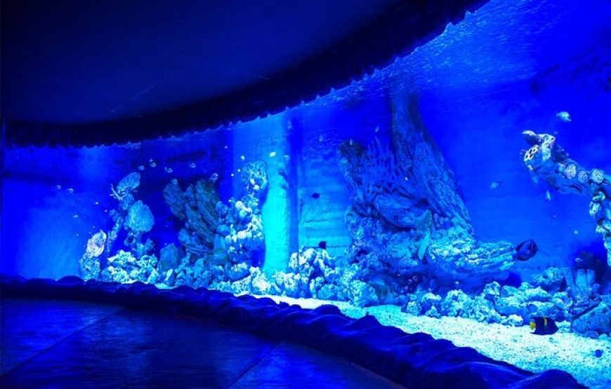 Hurghada Aquarium